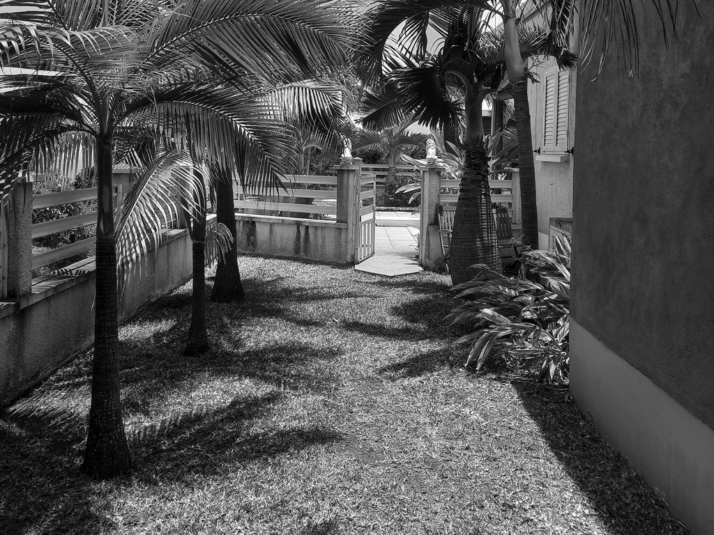 HORTUS - Smooth renovation - AVANT 2