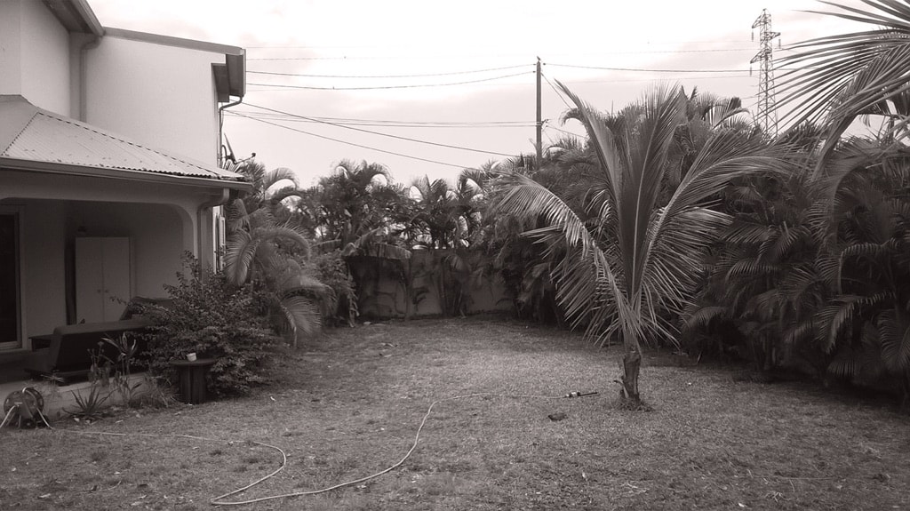 P12-Tropical garden-AVANT 1