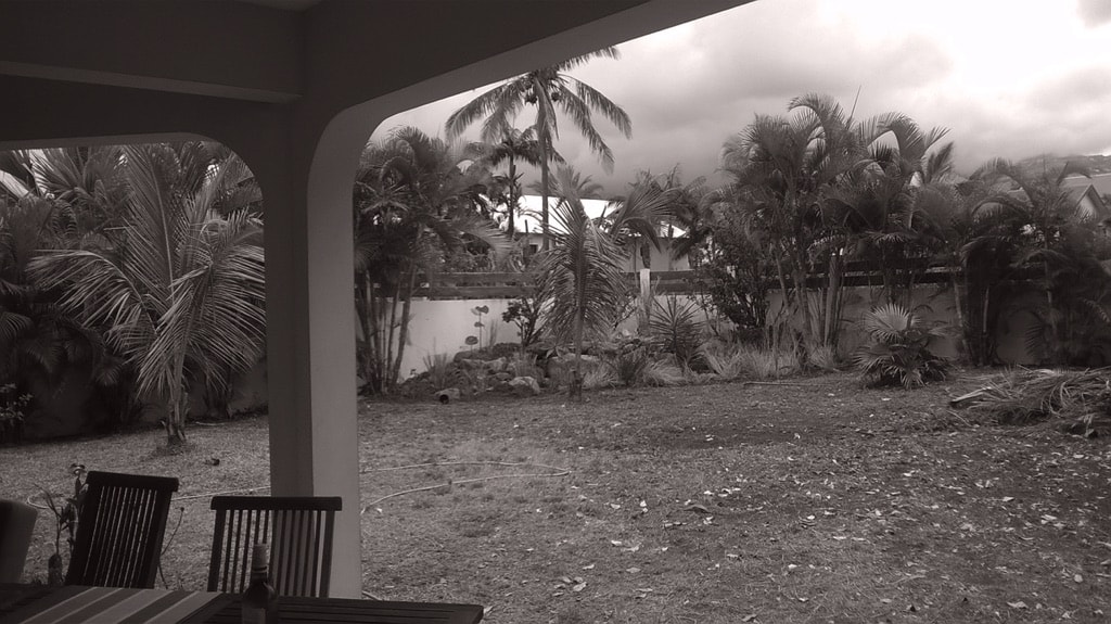 P12-Tropical garden-AVANT 2